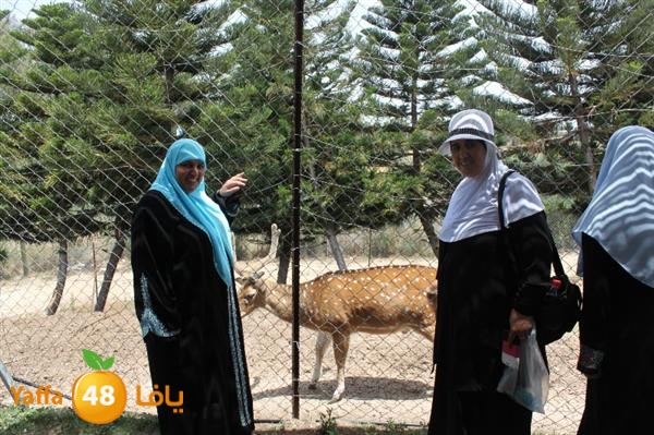 re7la mo2asaasa 0521 (5).JPG